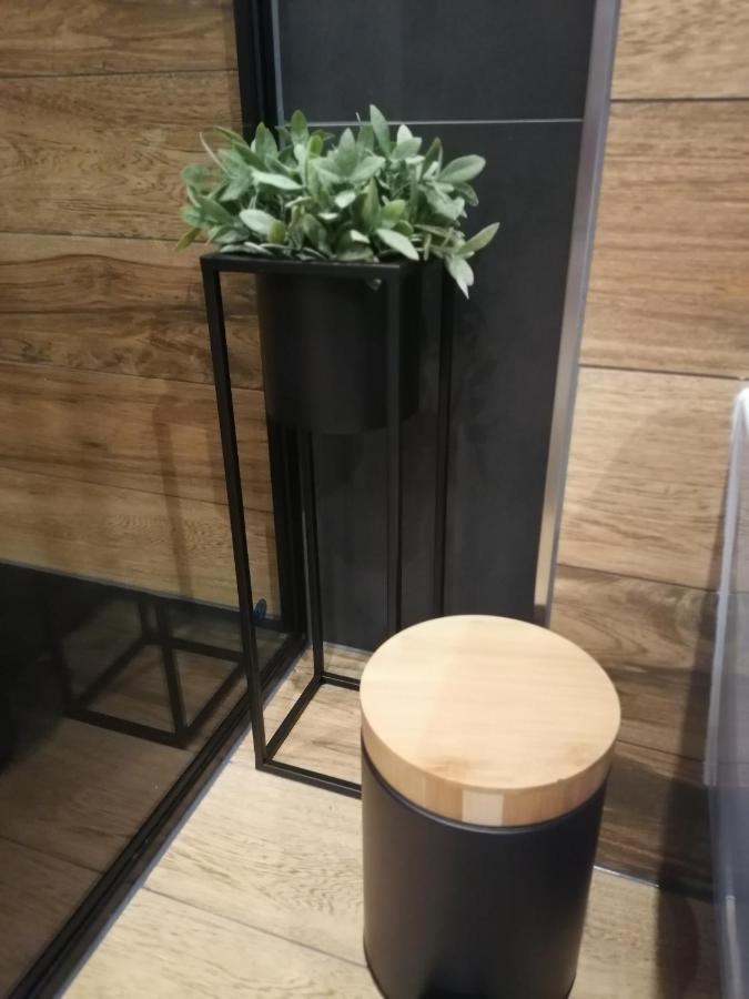 ZłotówApartament Jelen公寓 外观 照片
